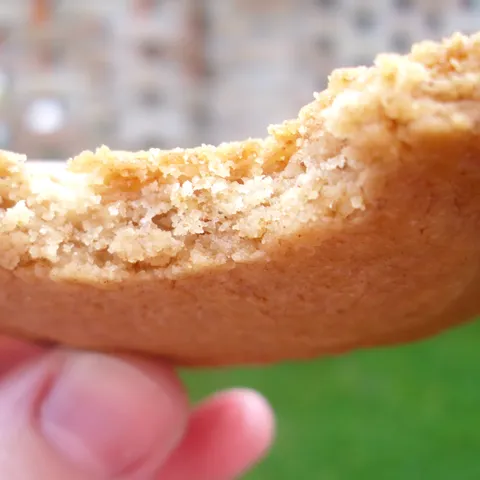 Speculaas