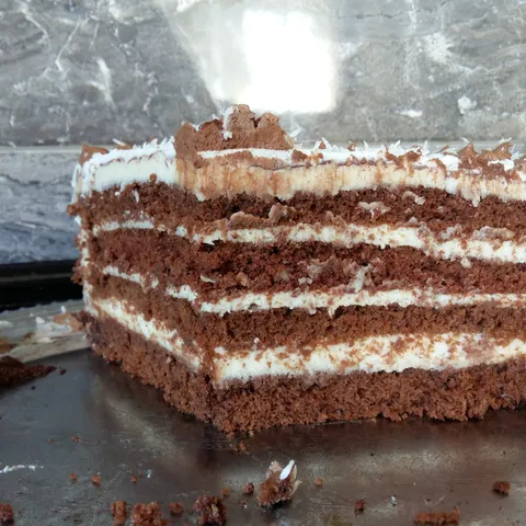 Čokoladna kokos torta