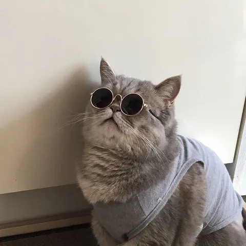 EmillyMonte