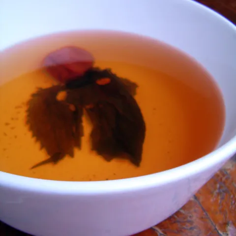 Umeboši čaj (ume-sho-ban)