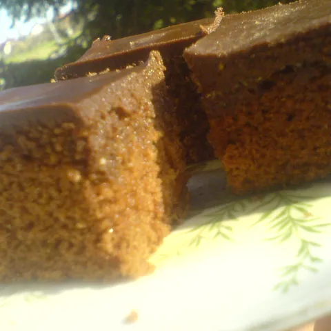 Zvjezdanine kakao kocke