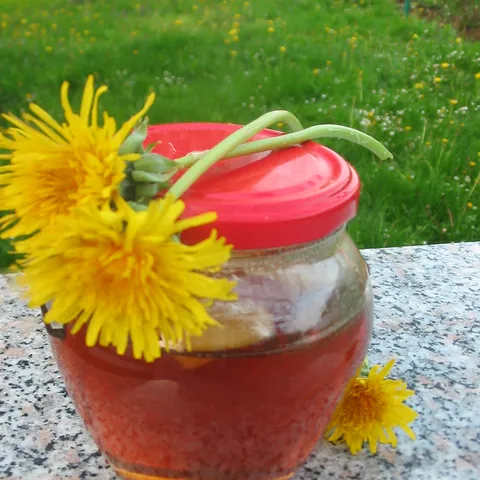 Med od maslačka