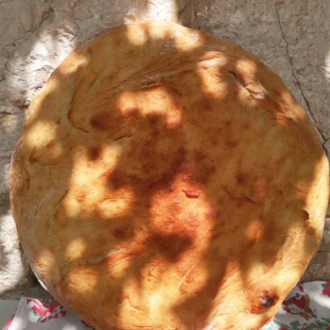 Sunčani krug