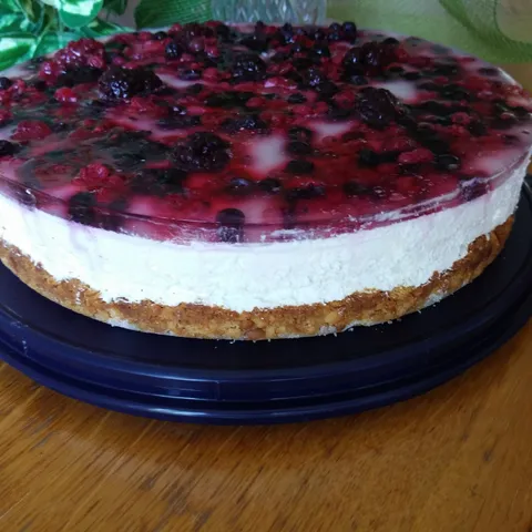 CHEESECAKE SA ŠUMSKIM VOĆEM