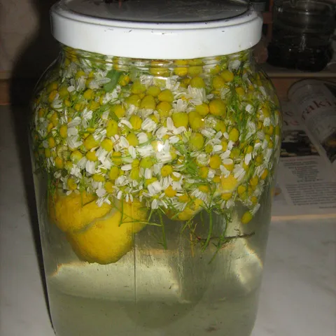 rakija od kamilice