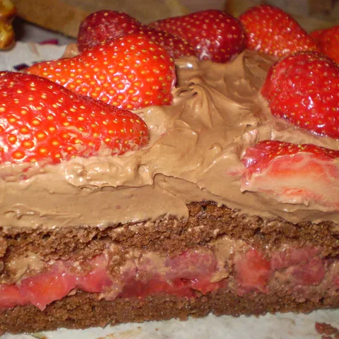 Torta od jagoda i čokolade