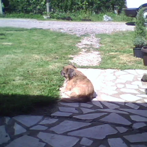 UKOLIKO NEKO BOLJE RAZMISLI...