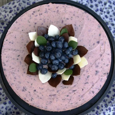 Nepecena Borovnica-Jogurt Torta