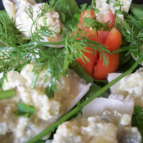 Punjena cikorija + radić