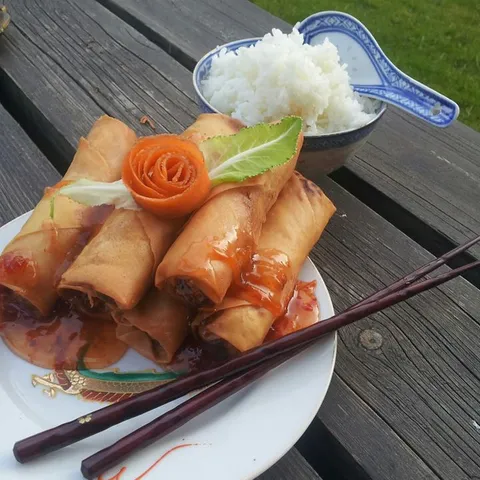 Chinese spring rolls/kineske prolecne rolnice