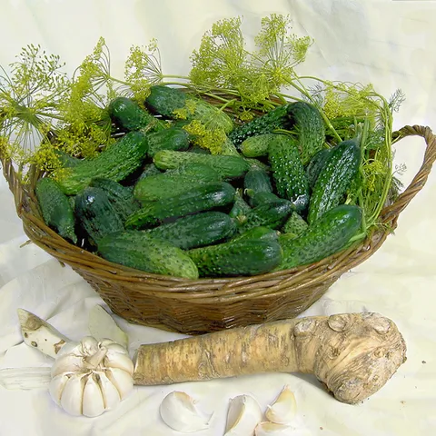 Usoljeni krastavci