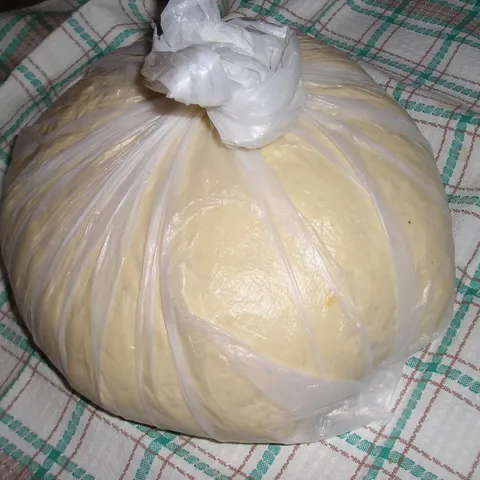 Ludo tijesto
