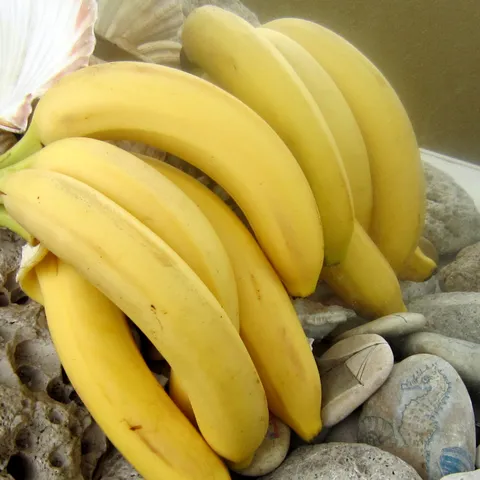 Banana ♥  moćna hrana