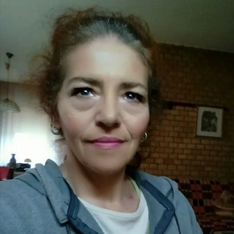 Dzenis