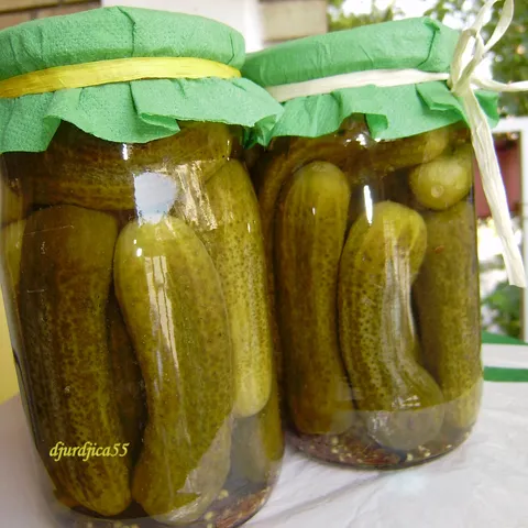 MOJI KISELI KRASTAVCI