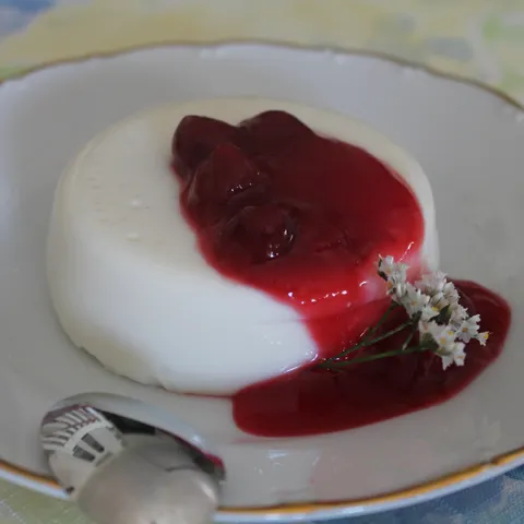 Panna cotta sa mlijekom i preljevom od visanja