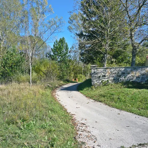 U sjeni kupine, sniva drevni Rašpor