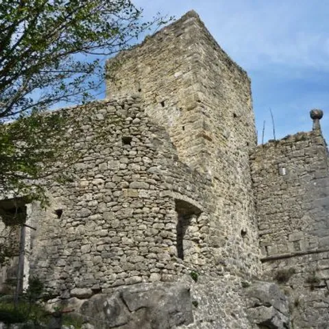 Tragom sjen(k)e vječnog čuvara