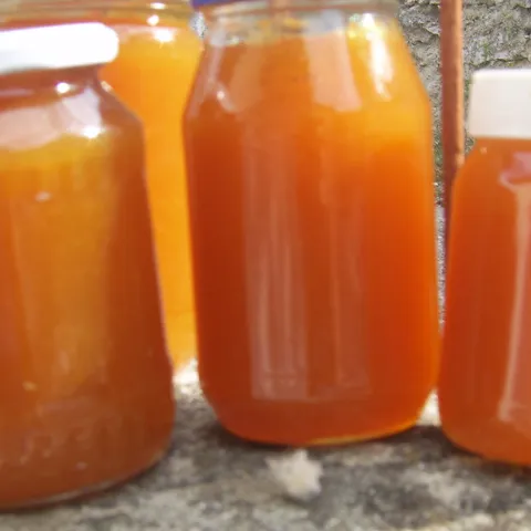 Amber nectar