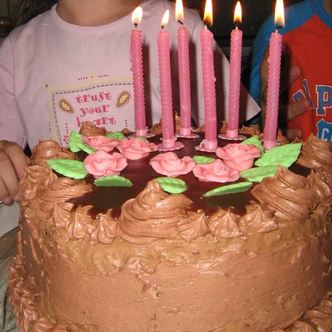 Čokoladna torta sa orasima