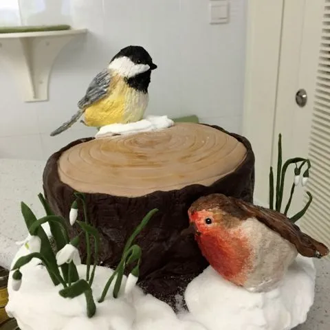 Torta od cokolade sa malinama