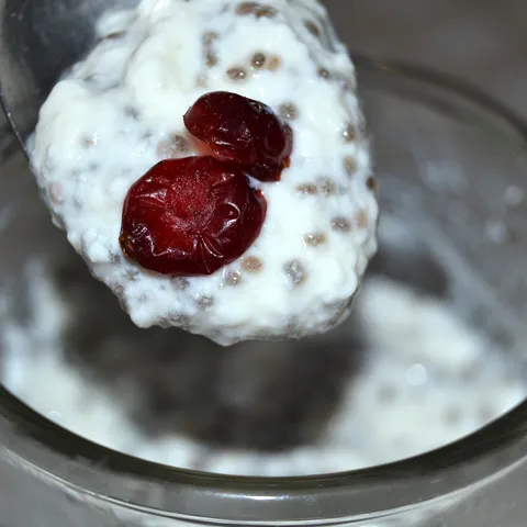 Chia jogurt sa brusnicama