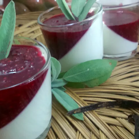 Raspberry and panna cotta