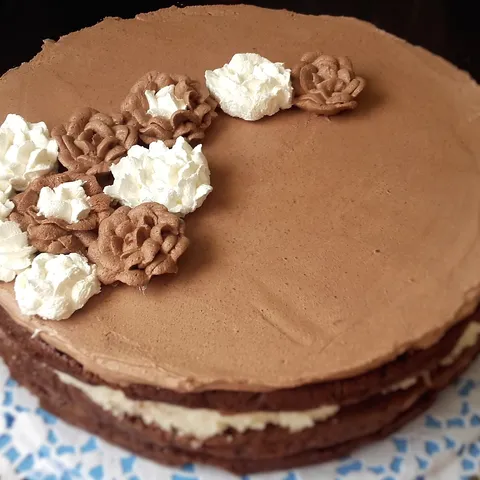 Čokoladna kokos torta :)
