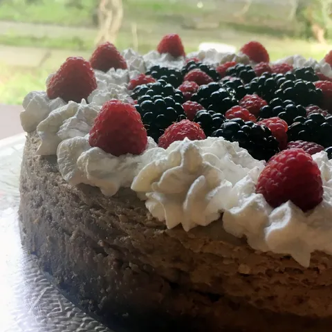 Zdravi cheesecake s malinama i kupinama