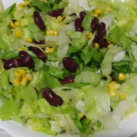 Moja zelena salata