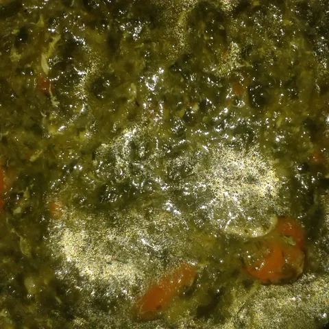Corba od spanaca