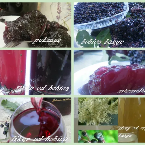 BAZGA  sirup, liker, vino, marmelada