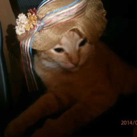 dbunje32
