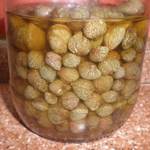 Konzervirani kapari