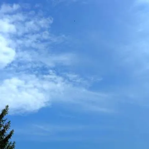 Daj svakom danu priliku da bude dobar :)