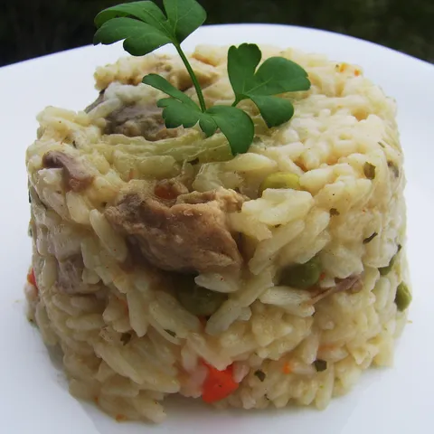 juneći povrtni rižoto