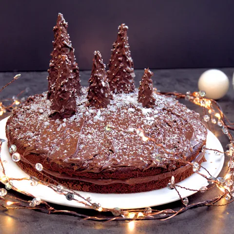 Čokoladna zimska torta