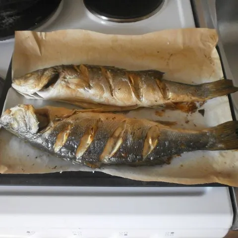 BRANCIN IZ PEĆNICE