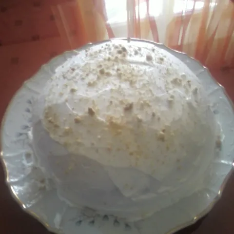 Ice Bomb Cake by Patty-C