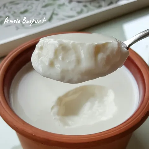 Domaći gusti jogurt