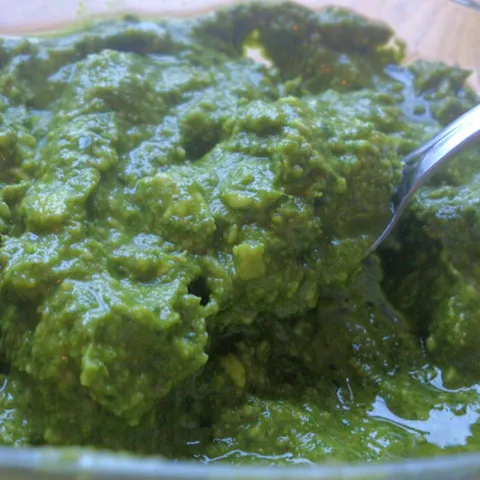 Hercegovacki pesto