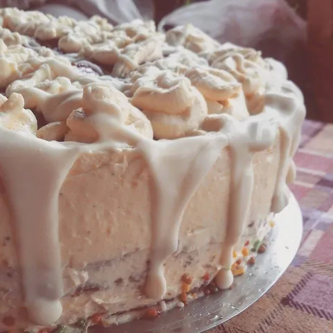 Ljetna torta sa malinama