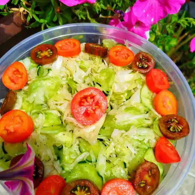 Salata od zelja i krastavaca-Mimi555.jpg