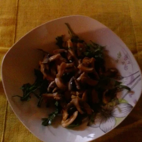 Salata od rukole sa sampinjonima i belim mesom