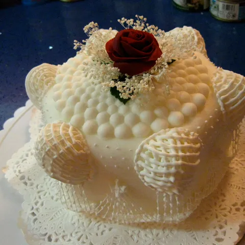 Ukrasavanje-royal icing-cushion lattice, strings, extensions