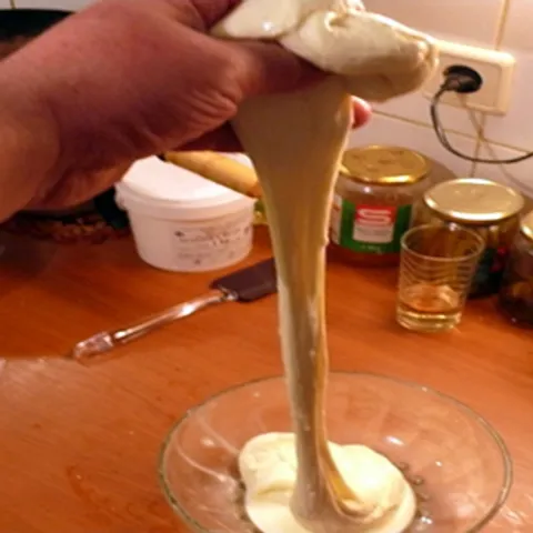 domaća mozzarella