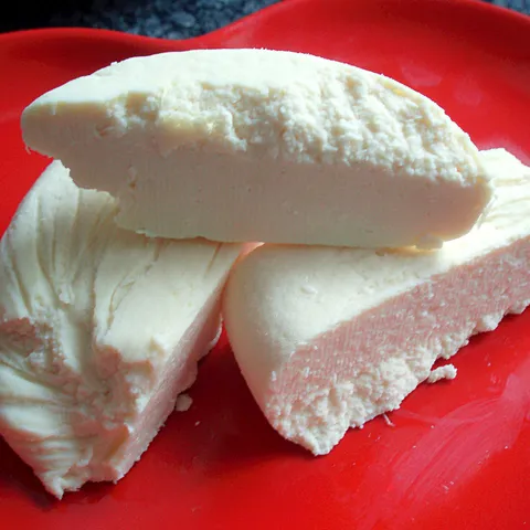 Paneer – indijski sir