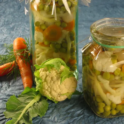 Salata od kiselog miješanog povrća