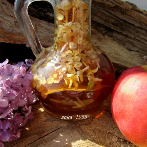 Jabučni ocat, ulje, sirup  ♥  s jorgovanom, ljekovitost  ♥