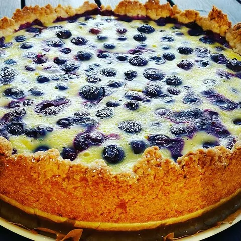 Cheesecake sa borovnicama i pirovim brasnom